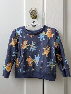 3T Bluey/Bingo Long-Sleeve Pullover Sweatshirt